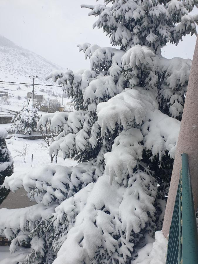 Ξενοδοχείο Krystal Κρυσταλλοπηγή Εξωτερικό φωτογραφία